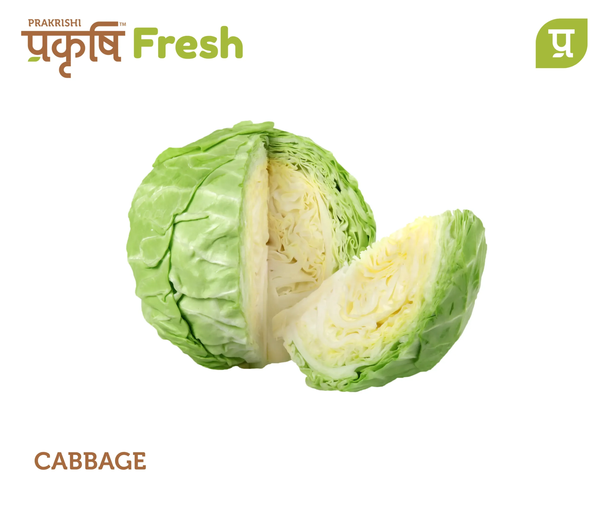 15 Cabbage - Image 1