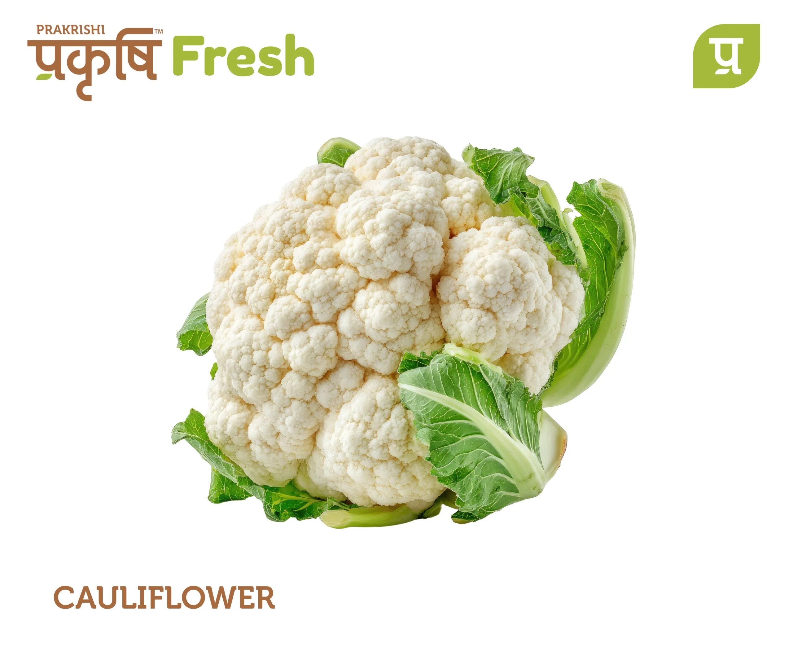 16 Cauliflower - Image 1