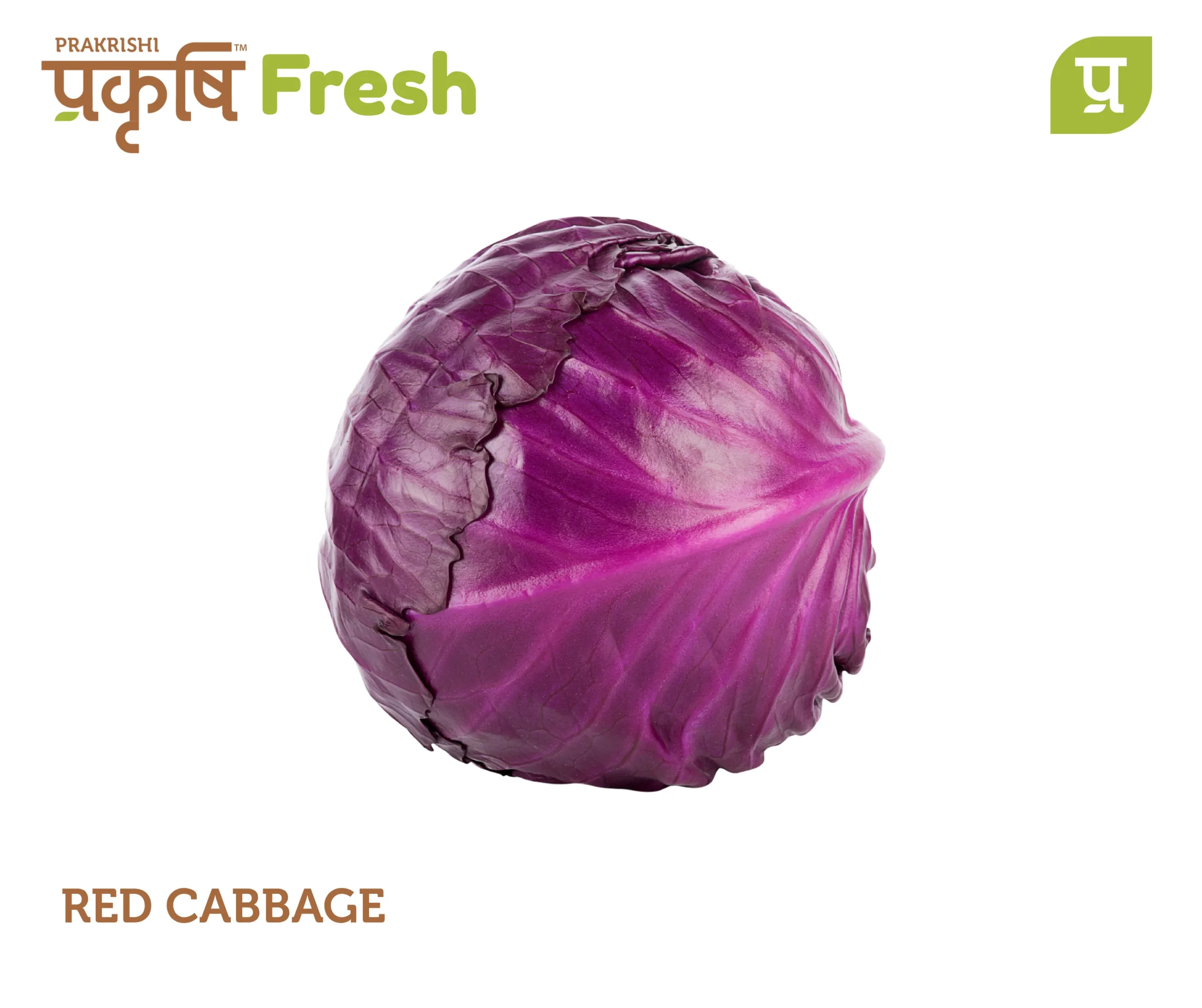 3 Red Cabbage - Image 1
