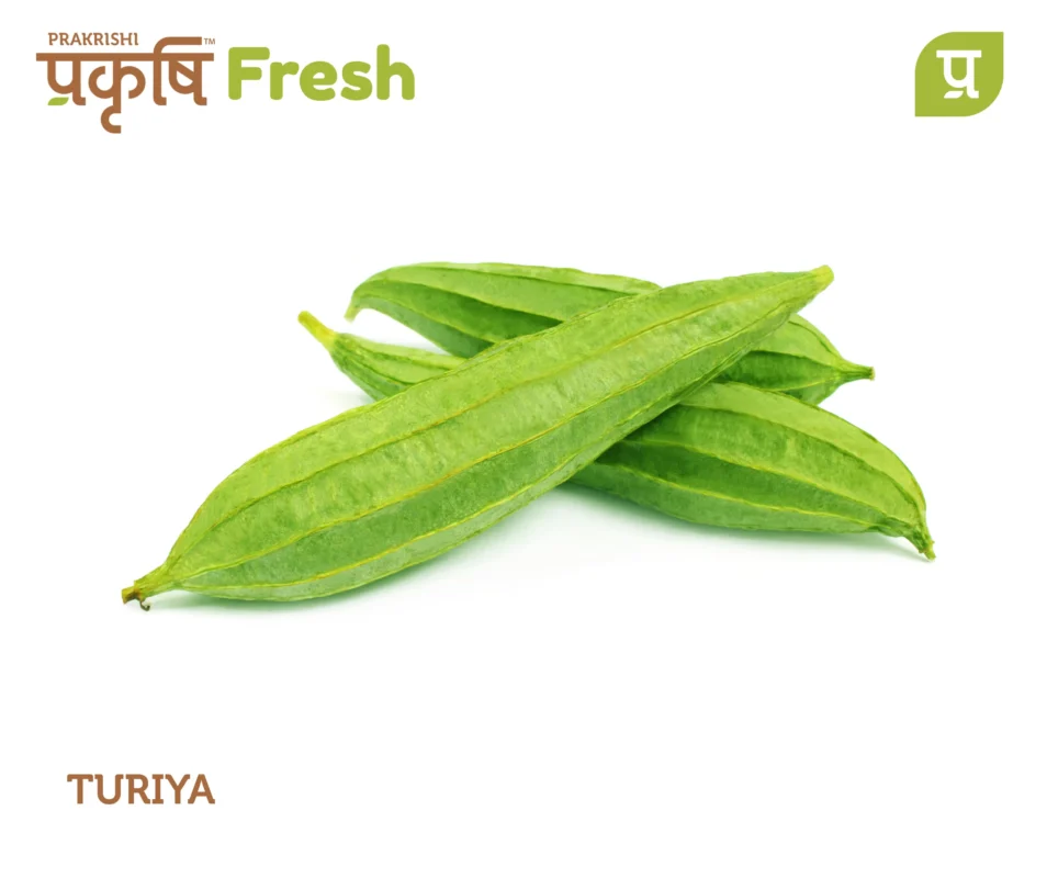 Turiya